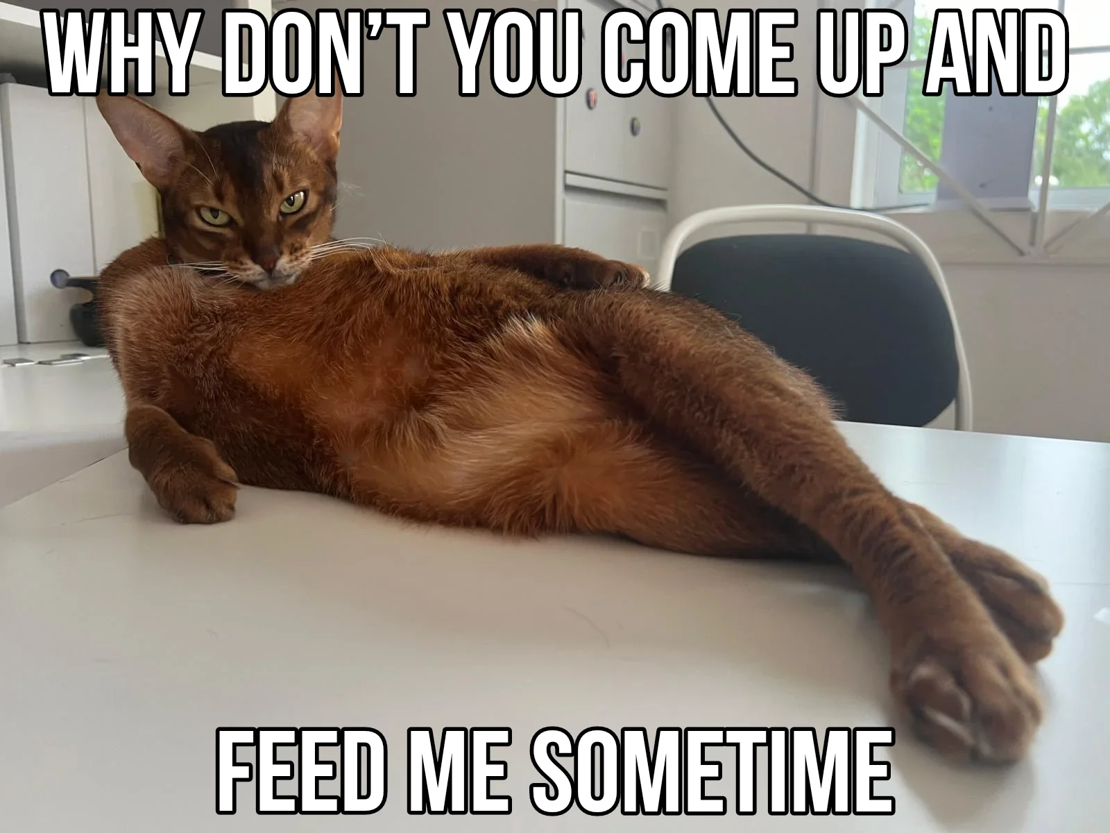 A girl can get hungry being all alone