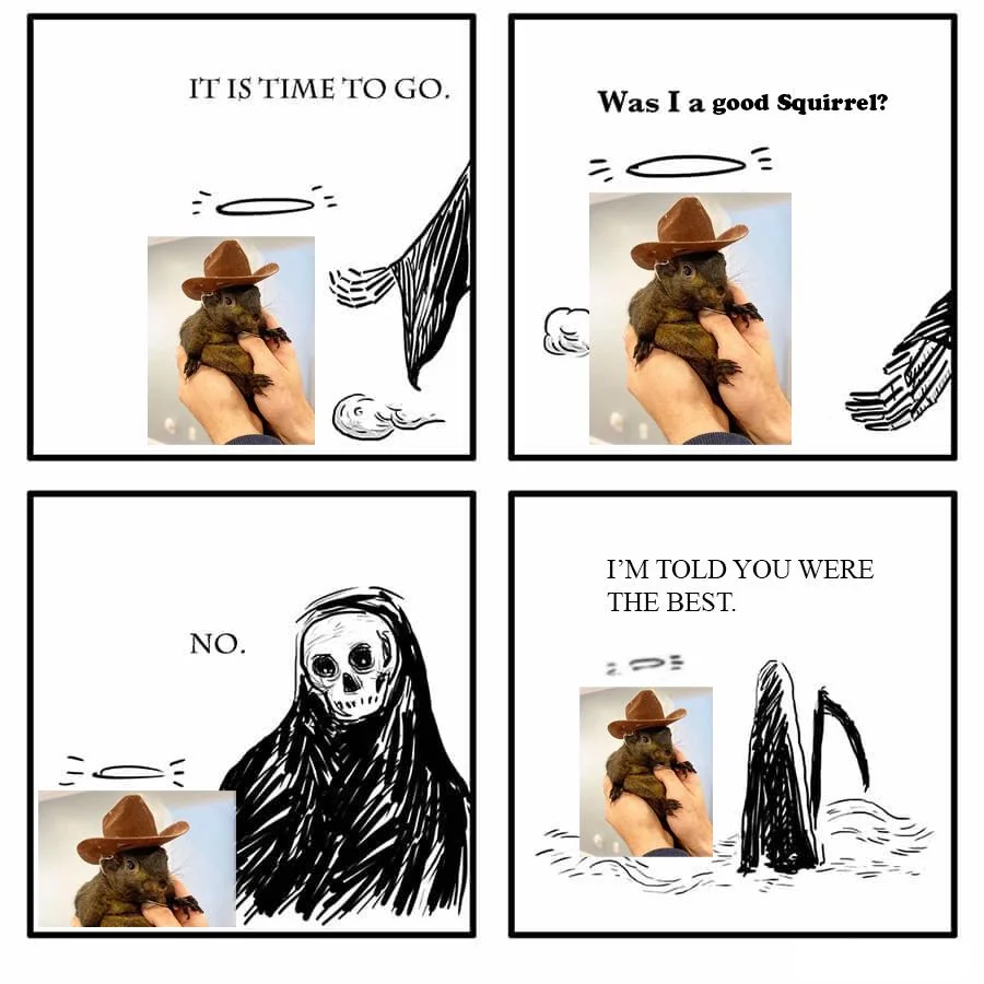 All Squirrels Go to Heaven.