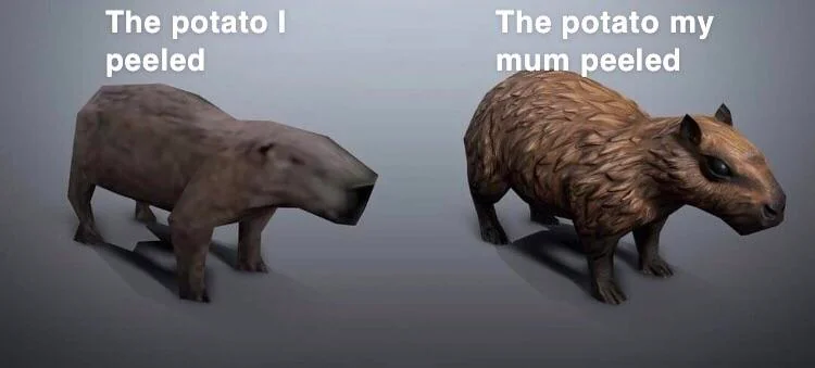 Anything I can do she can do better