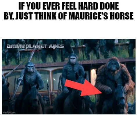 Ape not kill other ape