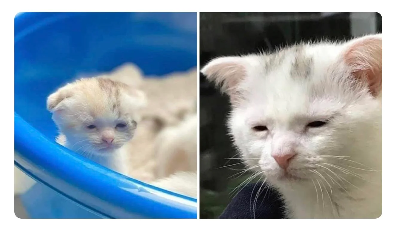 awake but at what cost..