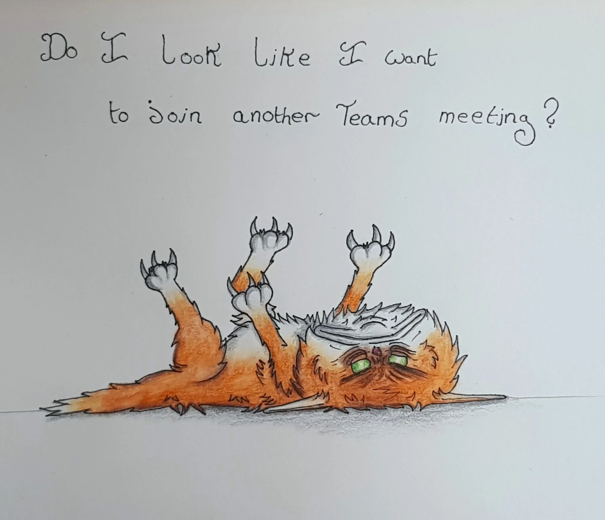 Back to back meetings at work is a struggle