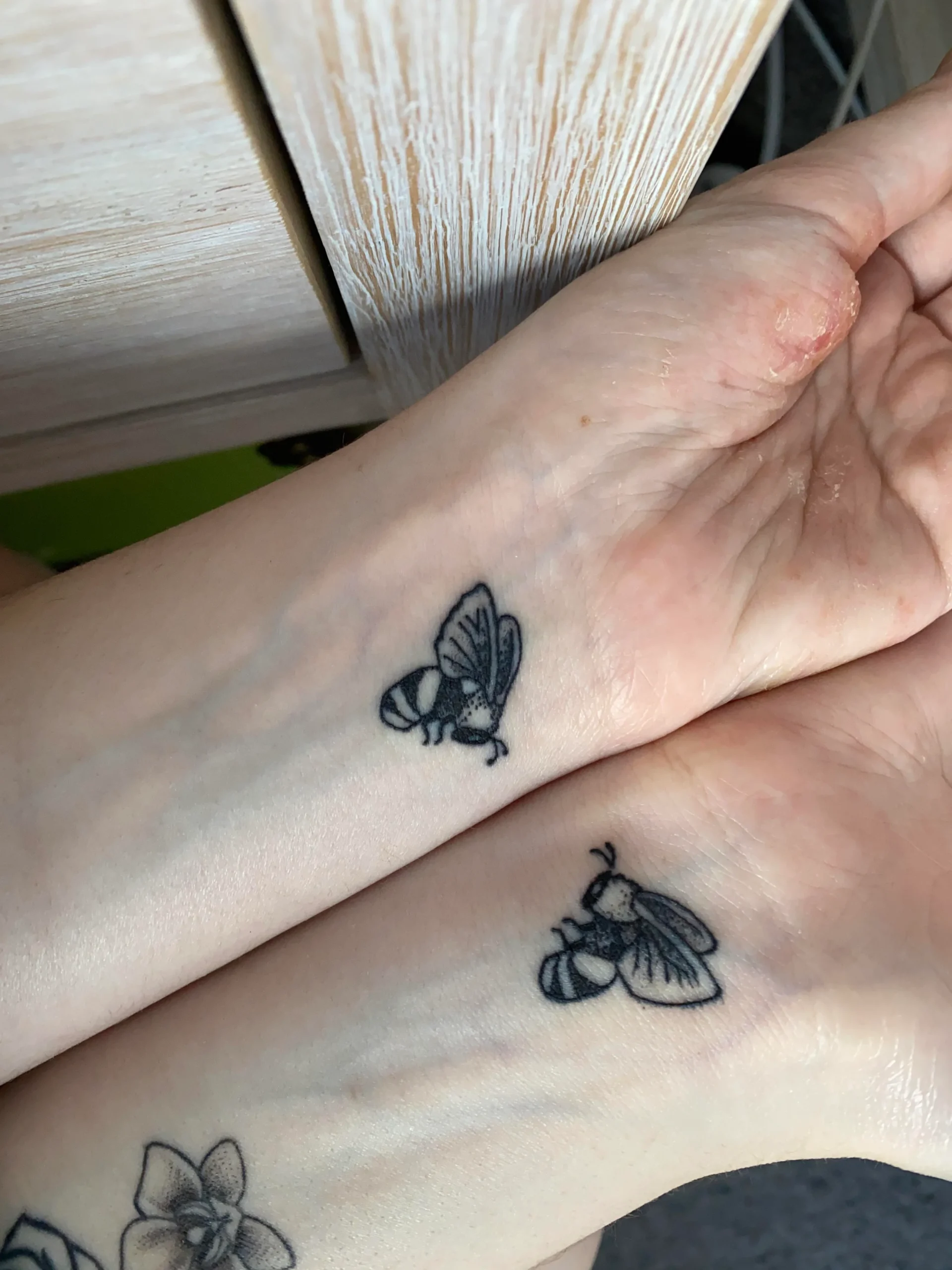 Barry Bee Benson and Cardi Bee