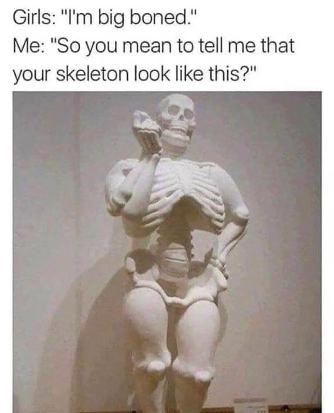 Big boned girls