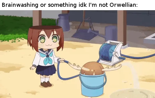 Big Brother is Not Amused