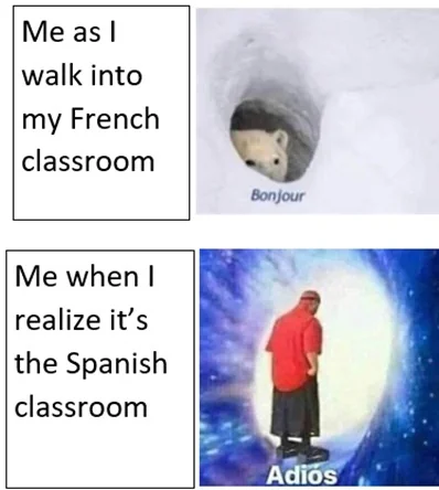 Bilingual!