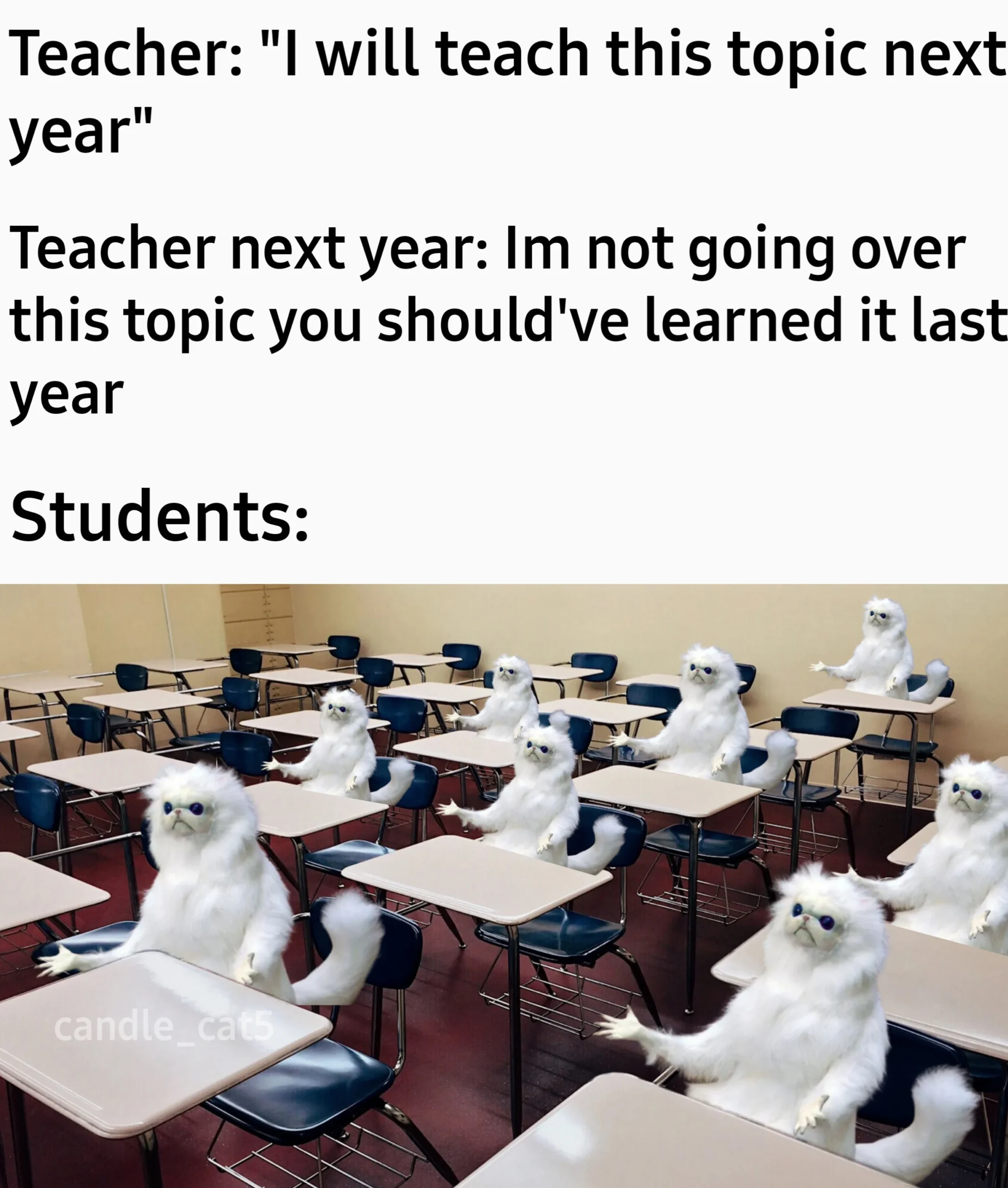 *bruh moment*