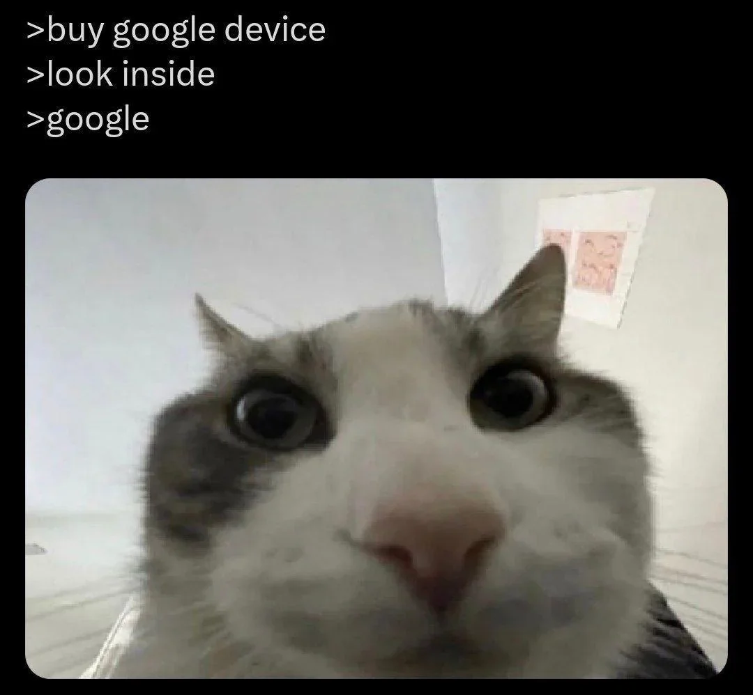 >buy google device