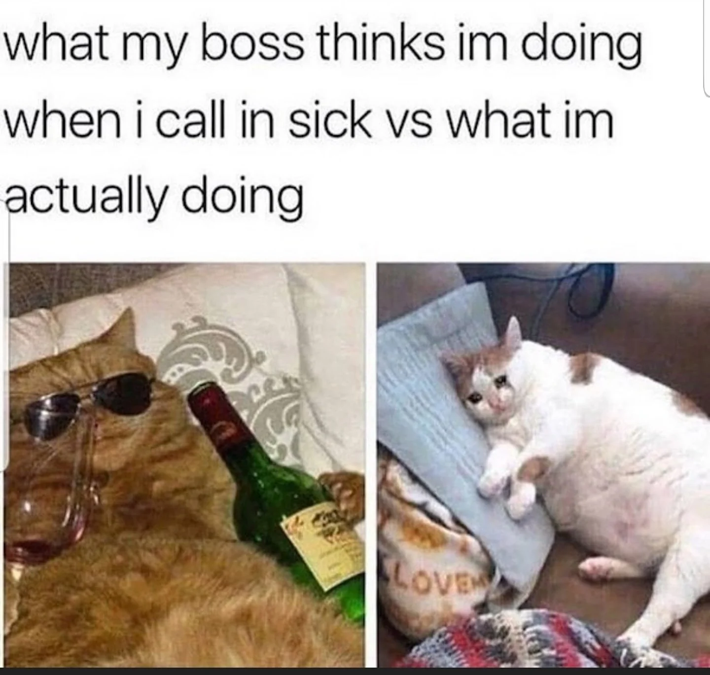 Calling in sick