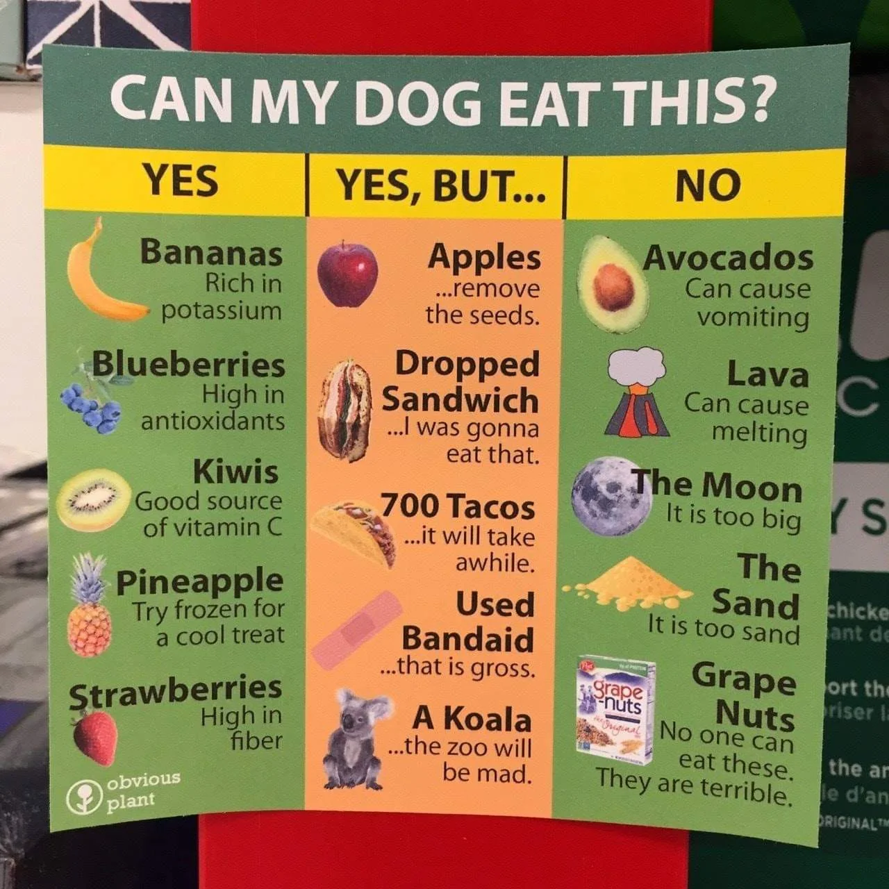 Can your dog eat it?