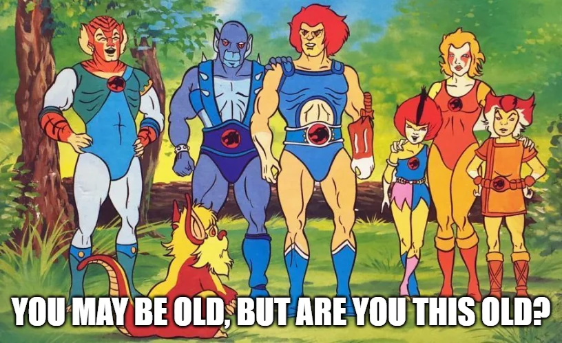 Can't lie, ThunderCats was a good show.