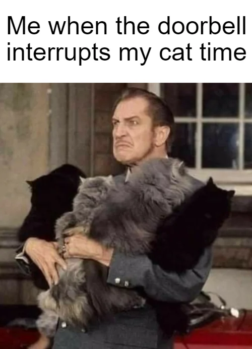 Can't you see that we're busy?