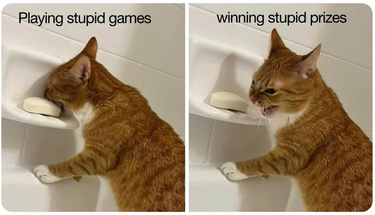 cat meme