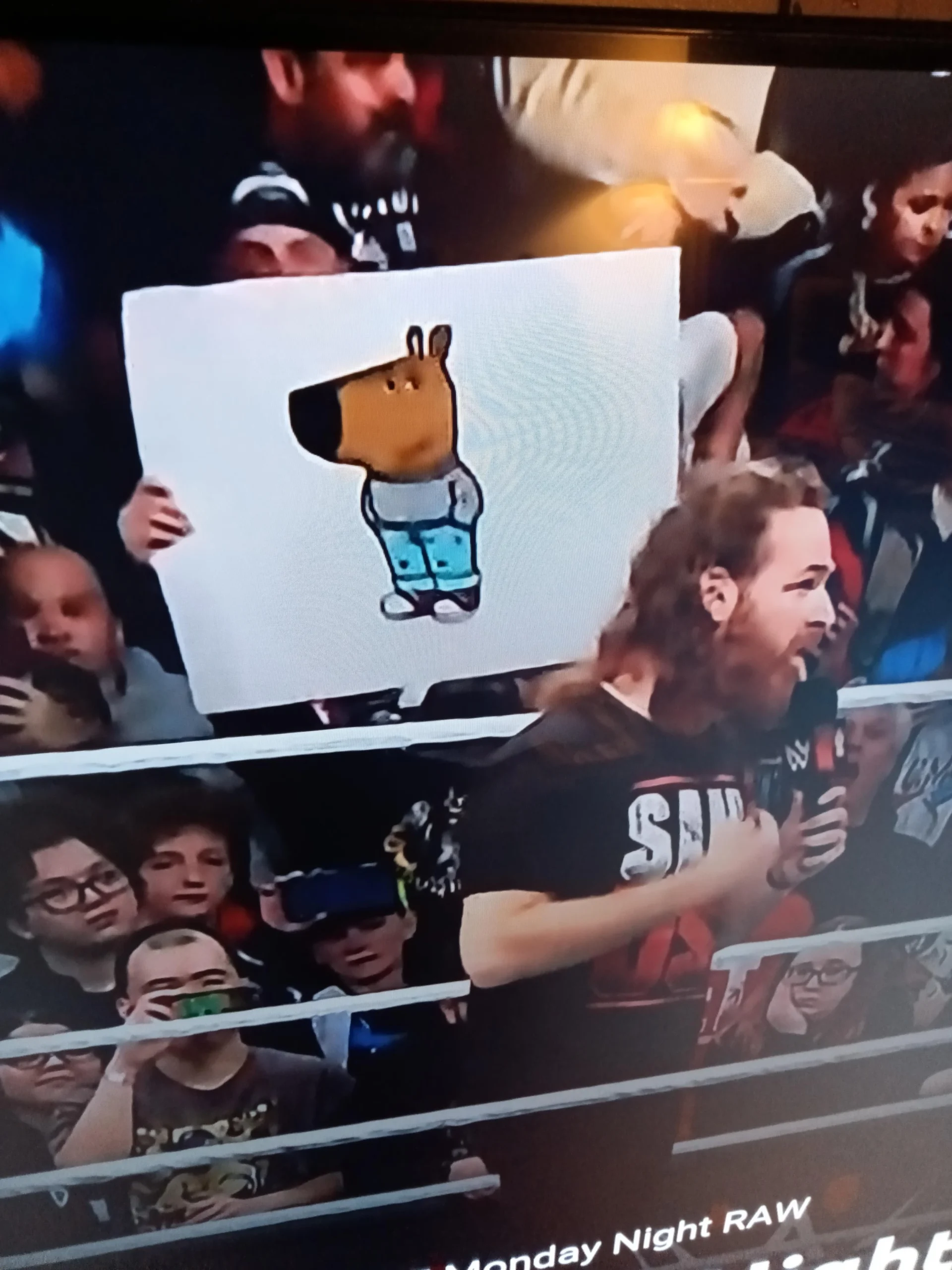 Chill guy spotted in wwe