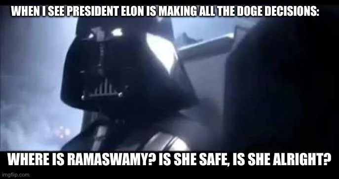 Co-heads of the DOGE