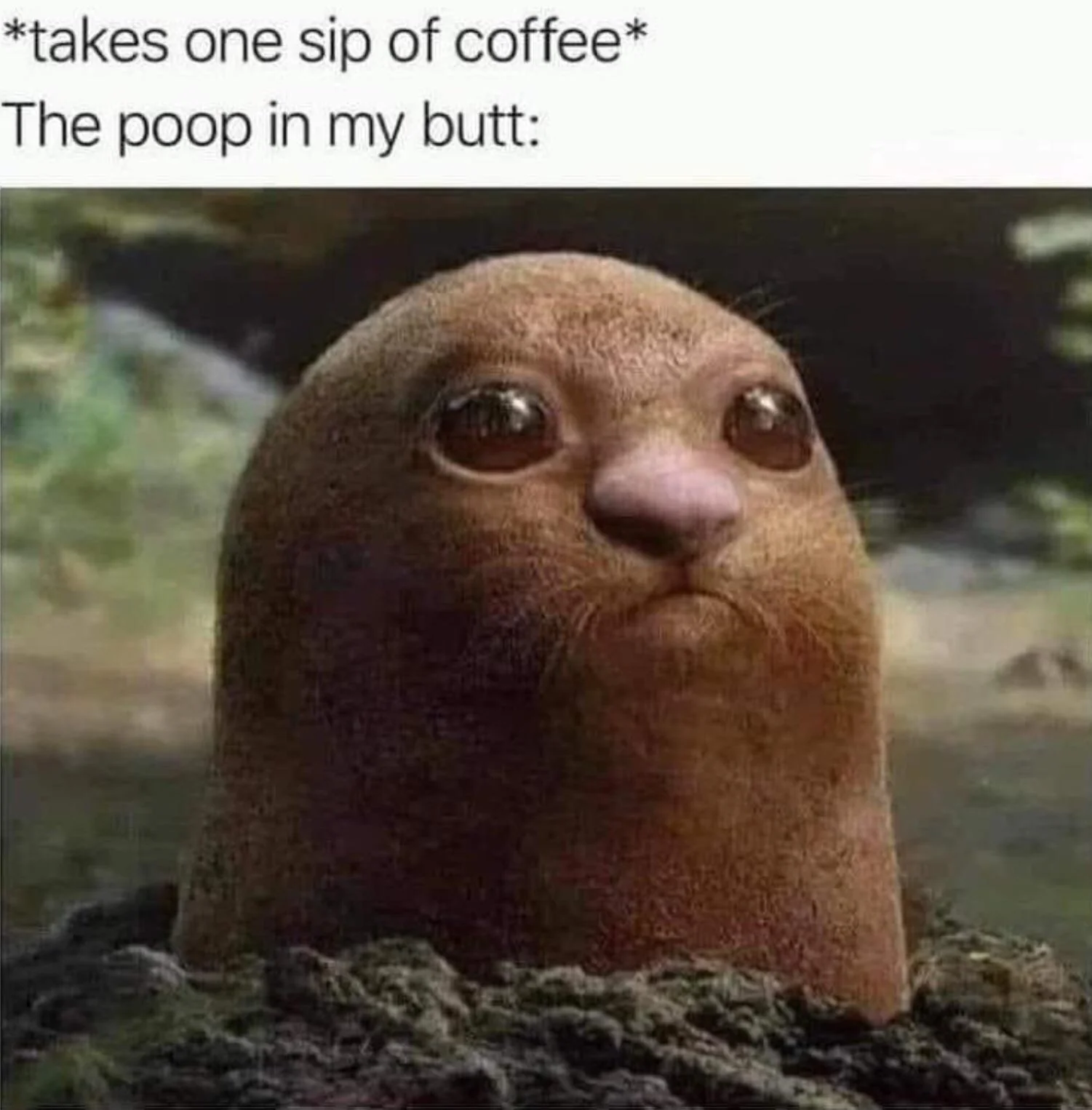 Coffee=Poop