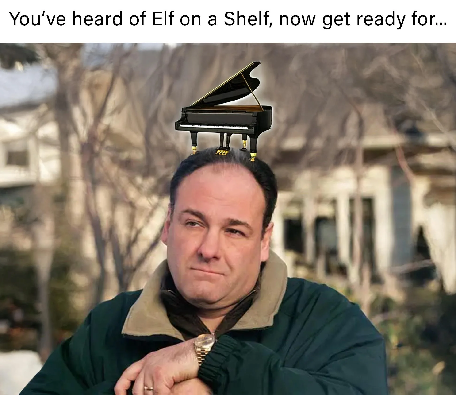 Couldn’t resist making this “You’ve heard of Elf on a…” meme.
