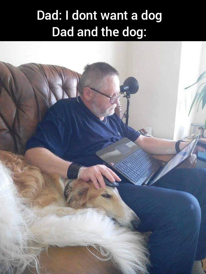 Dad and the dog