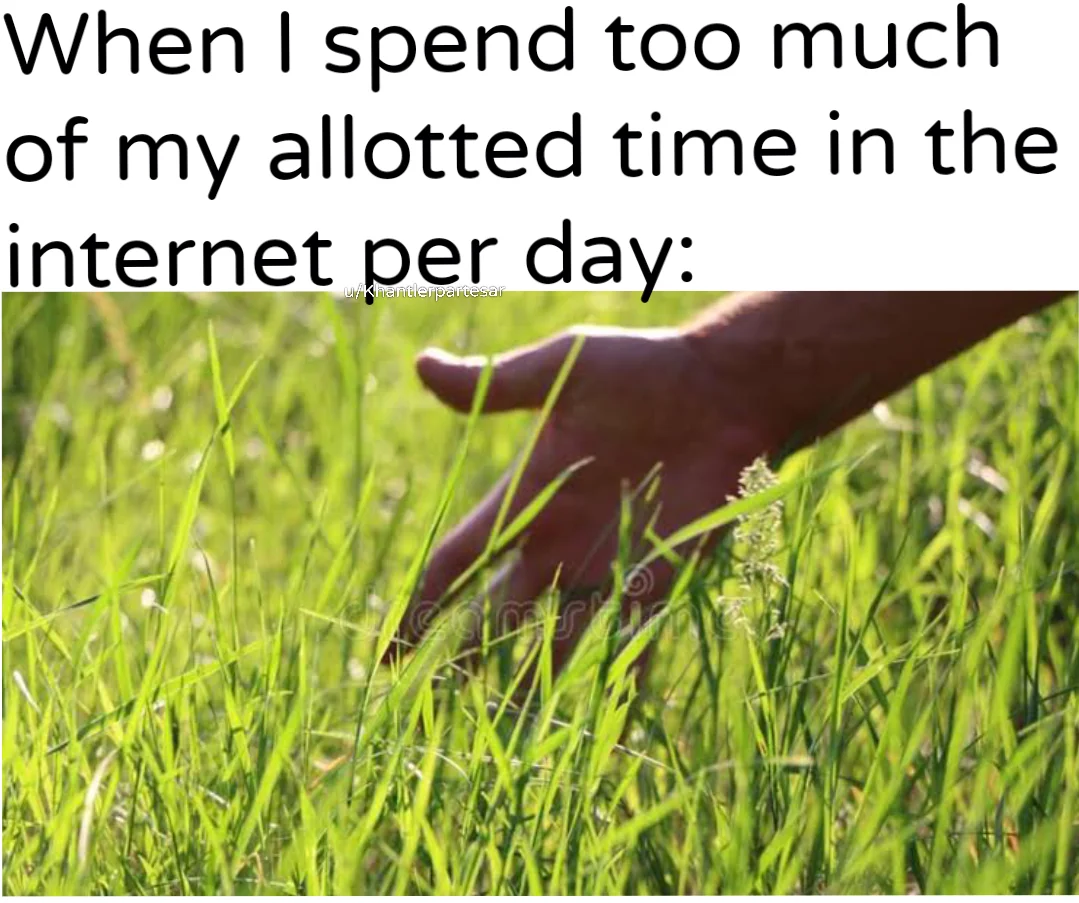 Daily Grass Touch, Keeps the Brainrot Away.