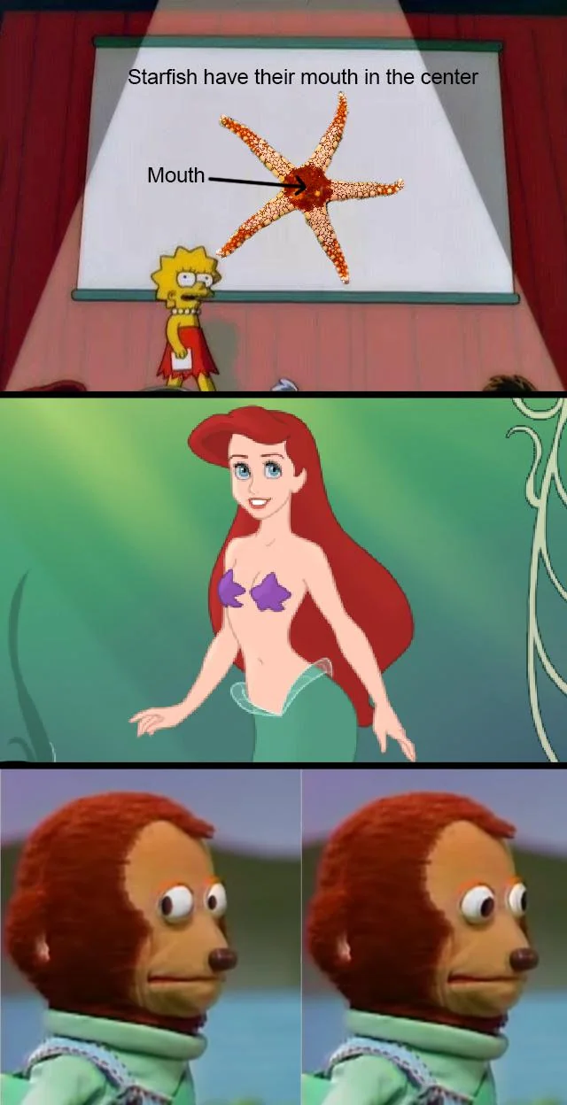 Disney, can we have some explainations ?