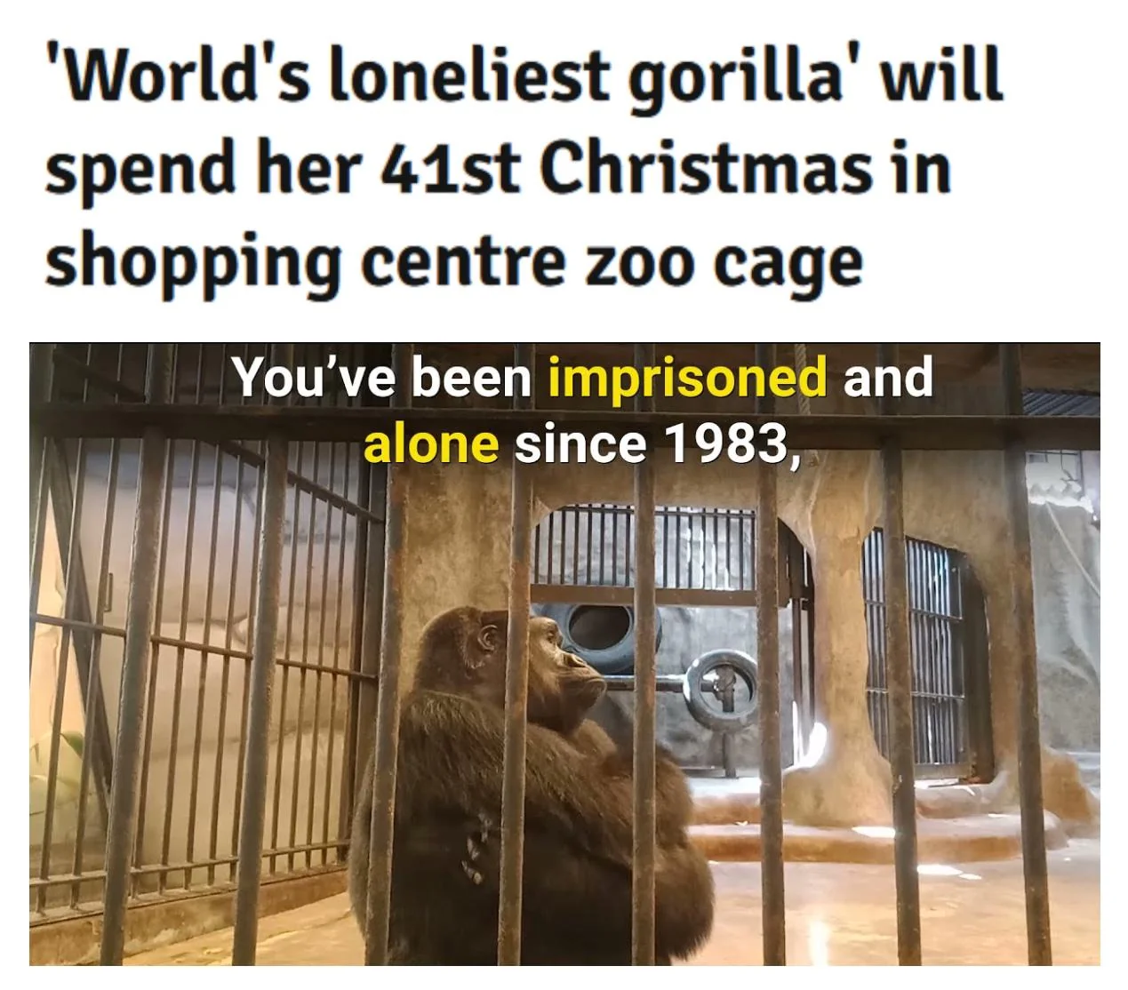 Do good in this world #BuaNoi