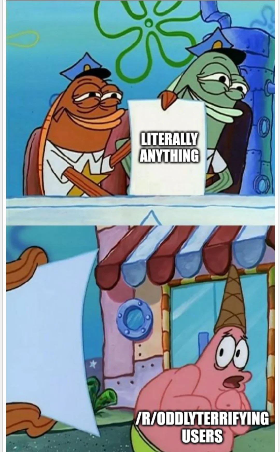 Do they ever leave their homes?