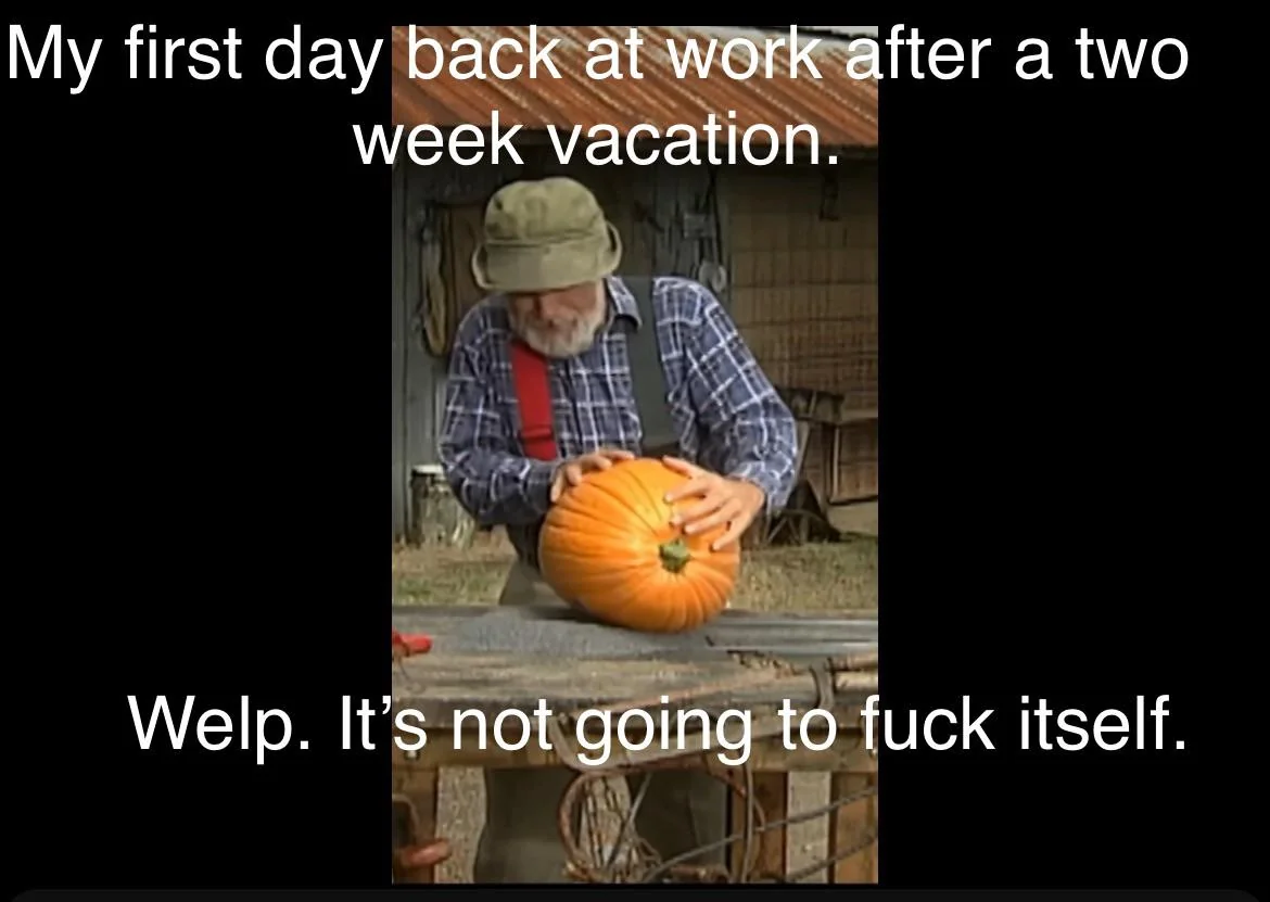 Don’t throw out your pumpkins yet