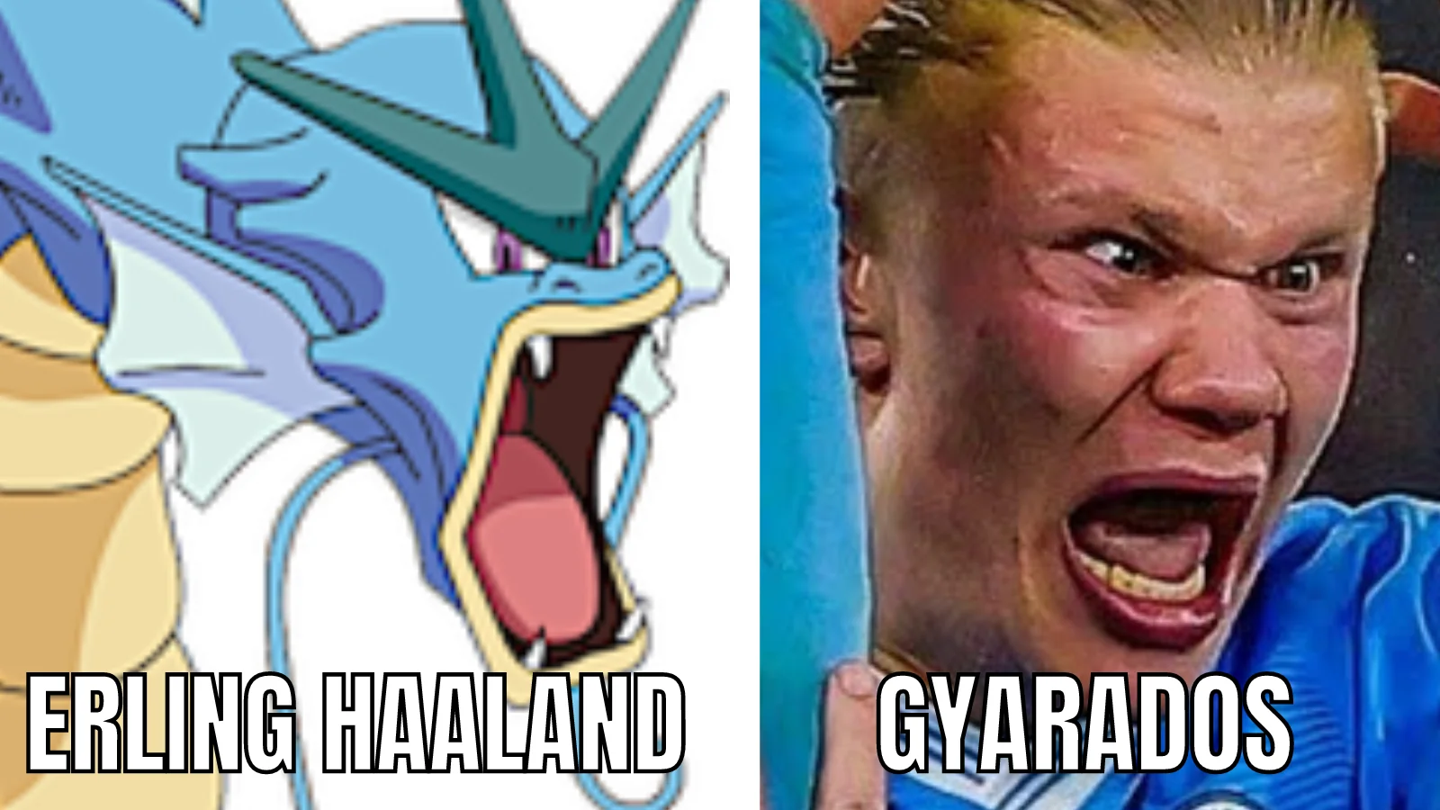 Erling Haaland and Gyarados are impossible to tell apart...