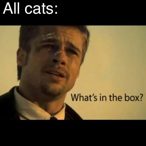 Every box, every time.
