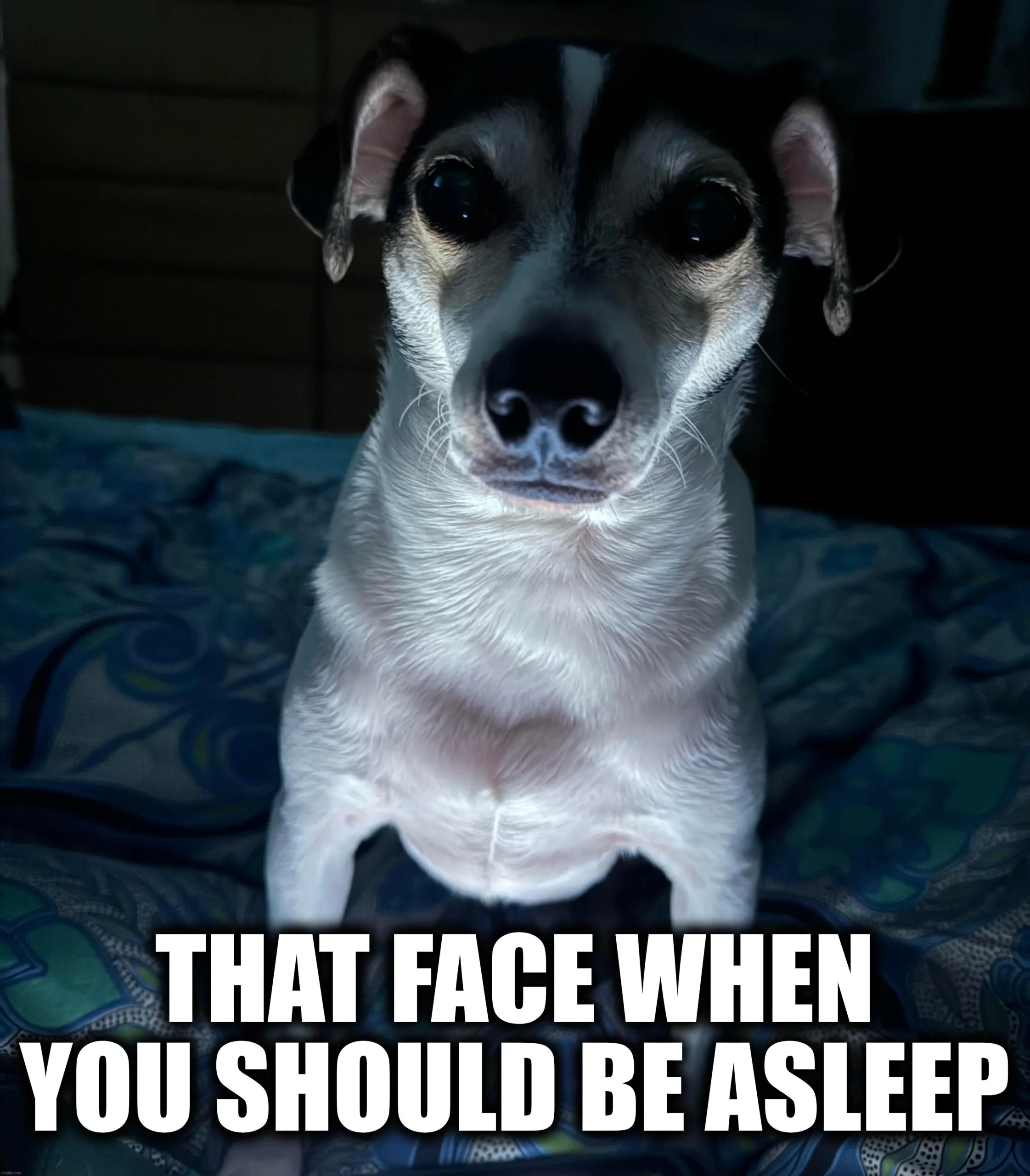eyes so dry they make the sound of sandpaper when you blink once per hour