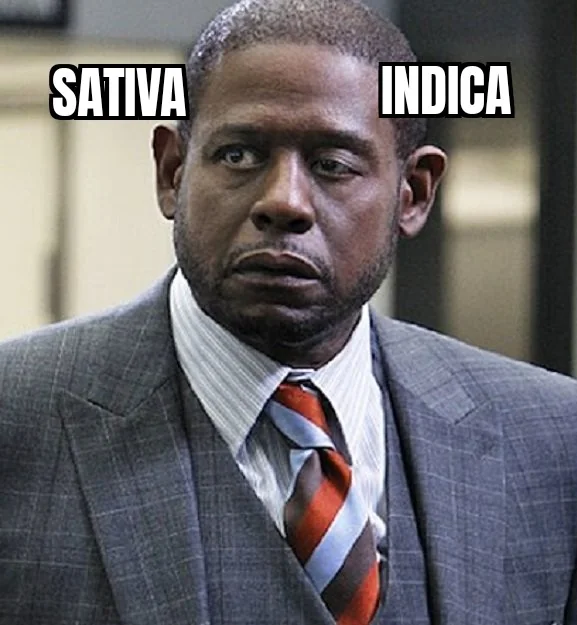 Forest Whitaker for the win.