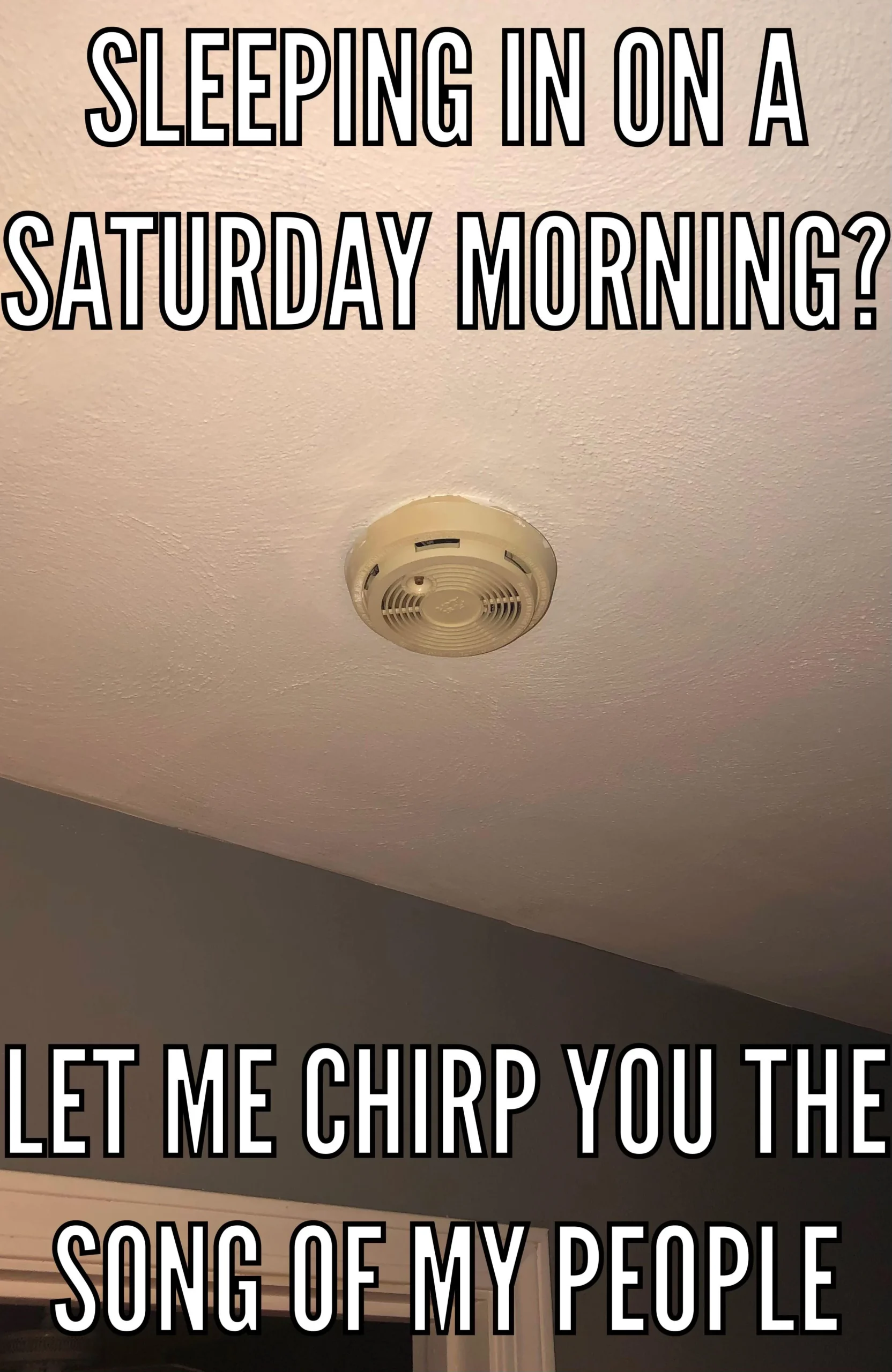 Good Morning, Beautiful