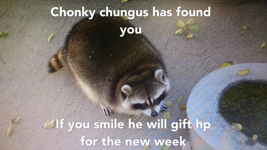 Good morning, say it back (insert sun emoji)