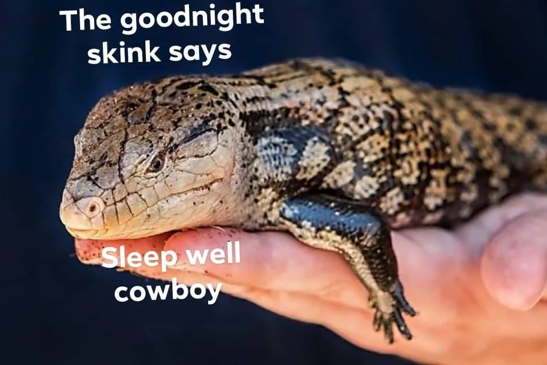 good night friends :)