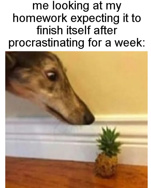 good thing finals are over