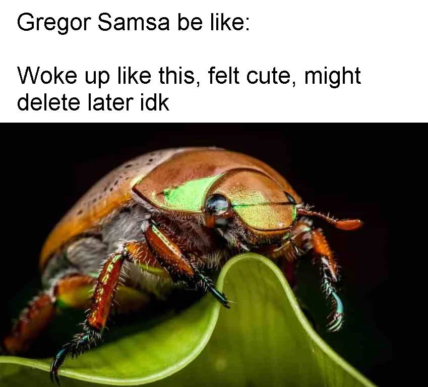 Gregor Samsa be like