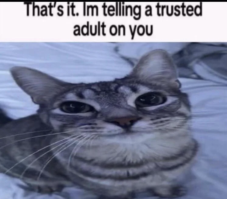 Guys the real nightmare starts tomorrow 💀(NNN)