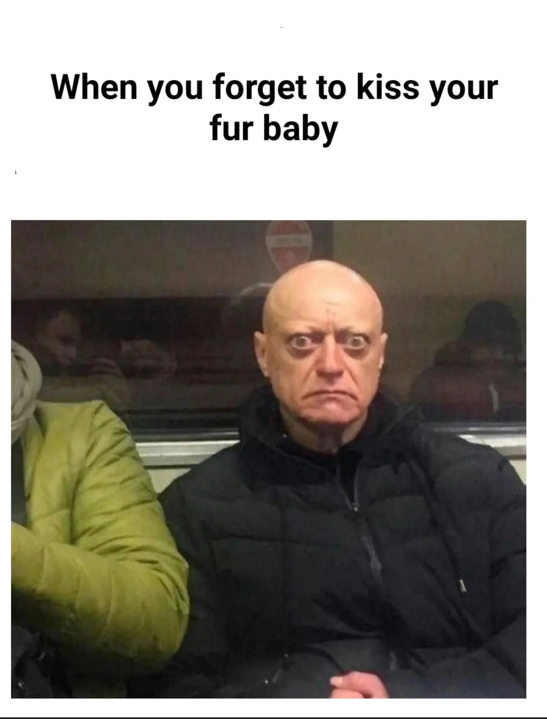 Guys, what do I do!!! Please help