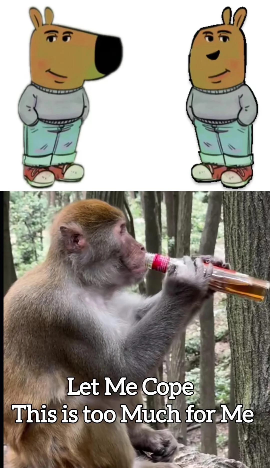 He brought his brother too !