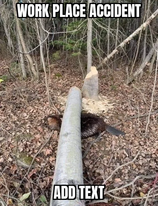 He didn't see the LiveLeak logo