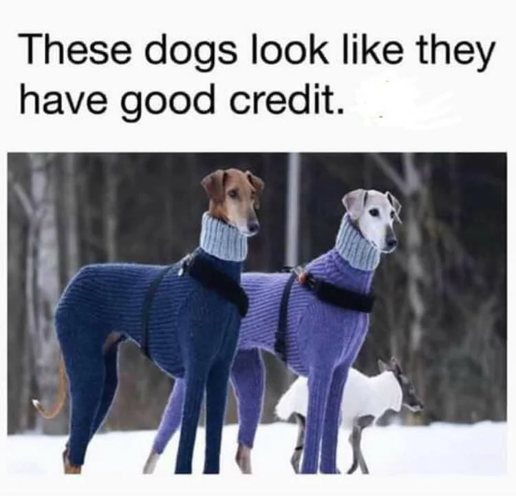 high class