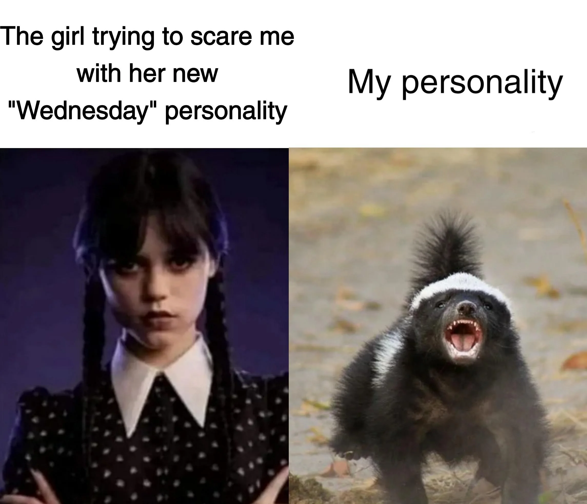 Honey badger don't care honey!