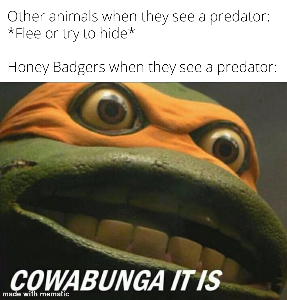 Honey Badger don't give a shit