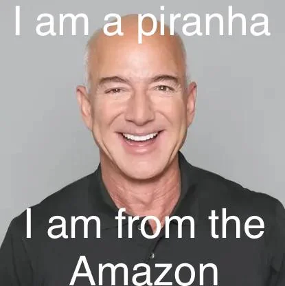 How the other online retailers look at Jeff Bezos