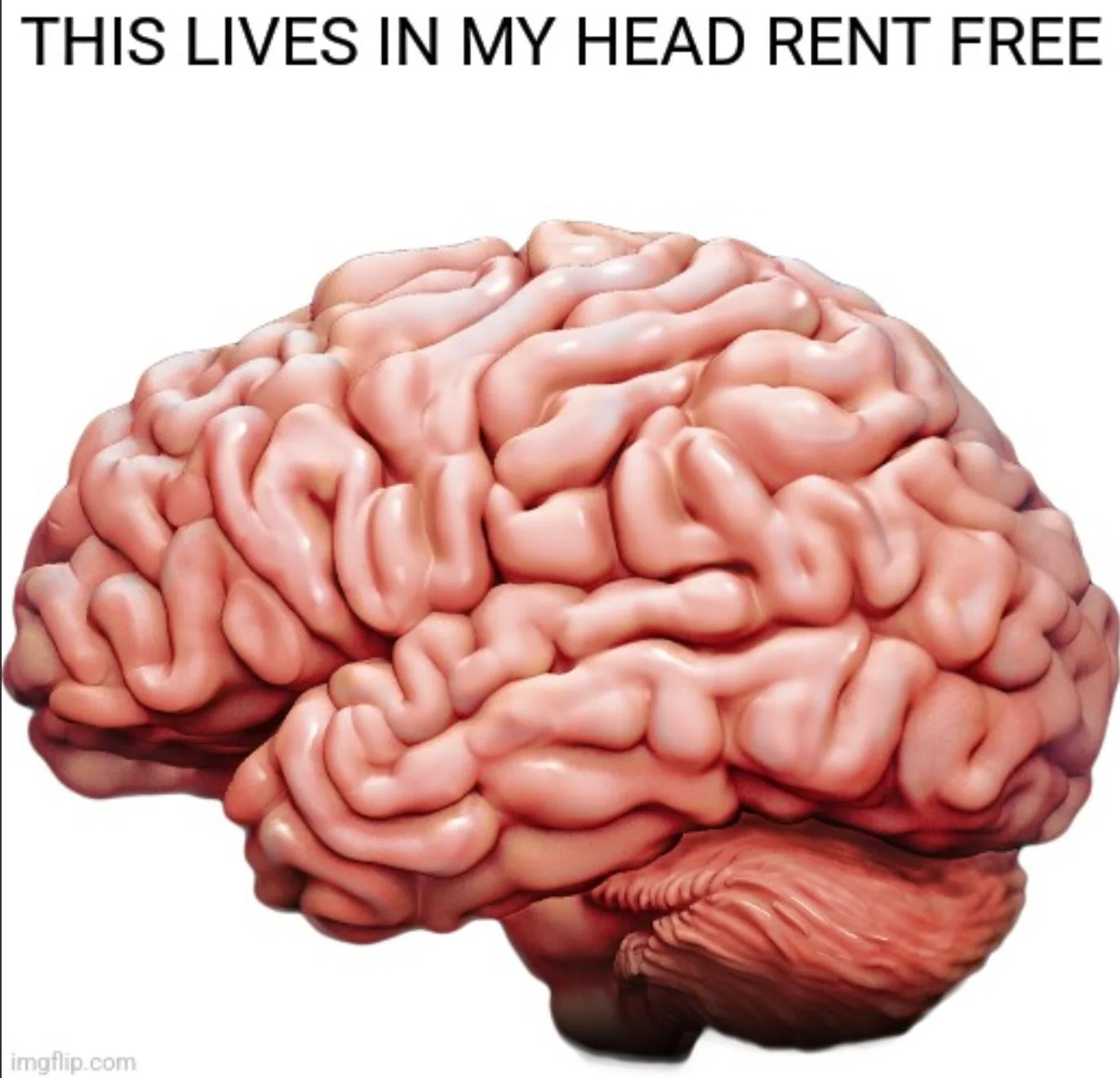 I can't be the only one that has this stuck in their head