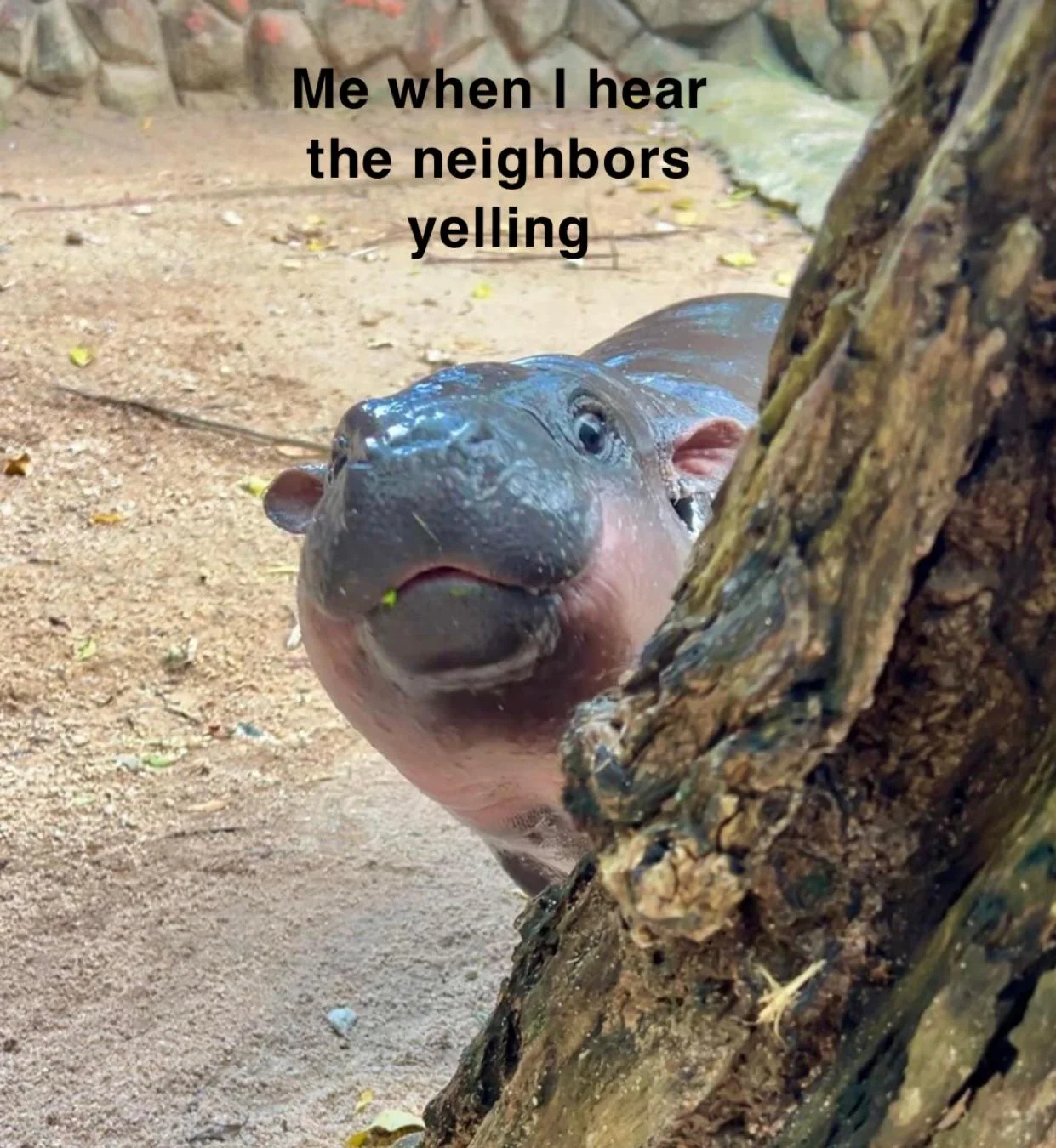 I gotta know whats happening