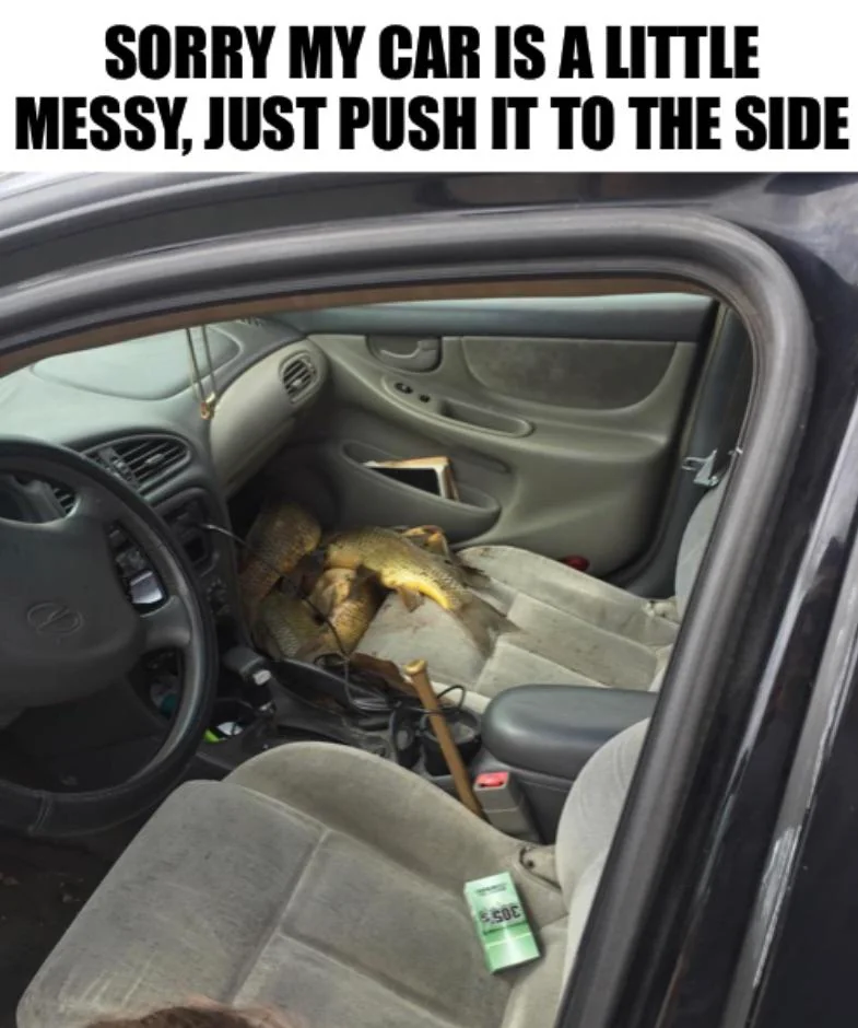 I just got new carpet installed