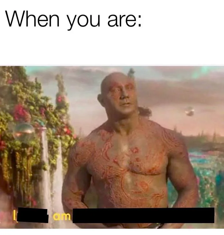 I meme therefore I am