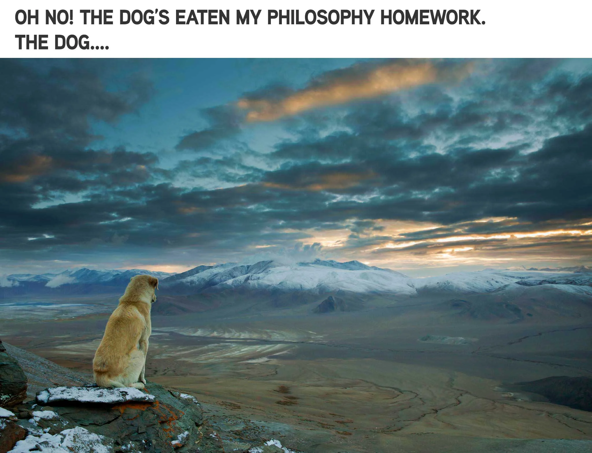 I think, therefore I am.