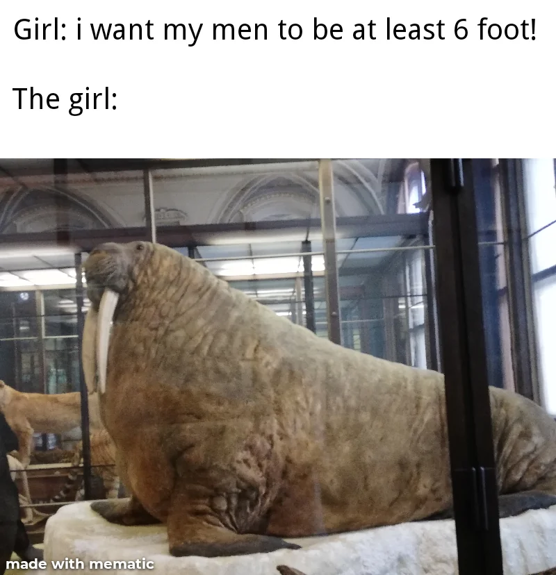 i wAnT mY mEn tO bE 6 fOoT aT lEaSt